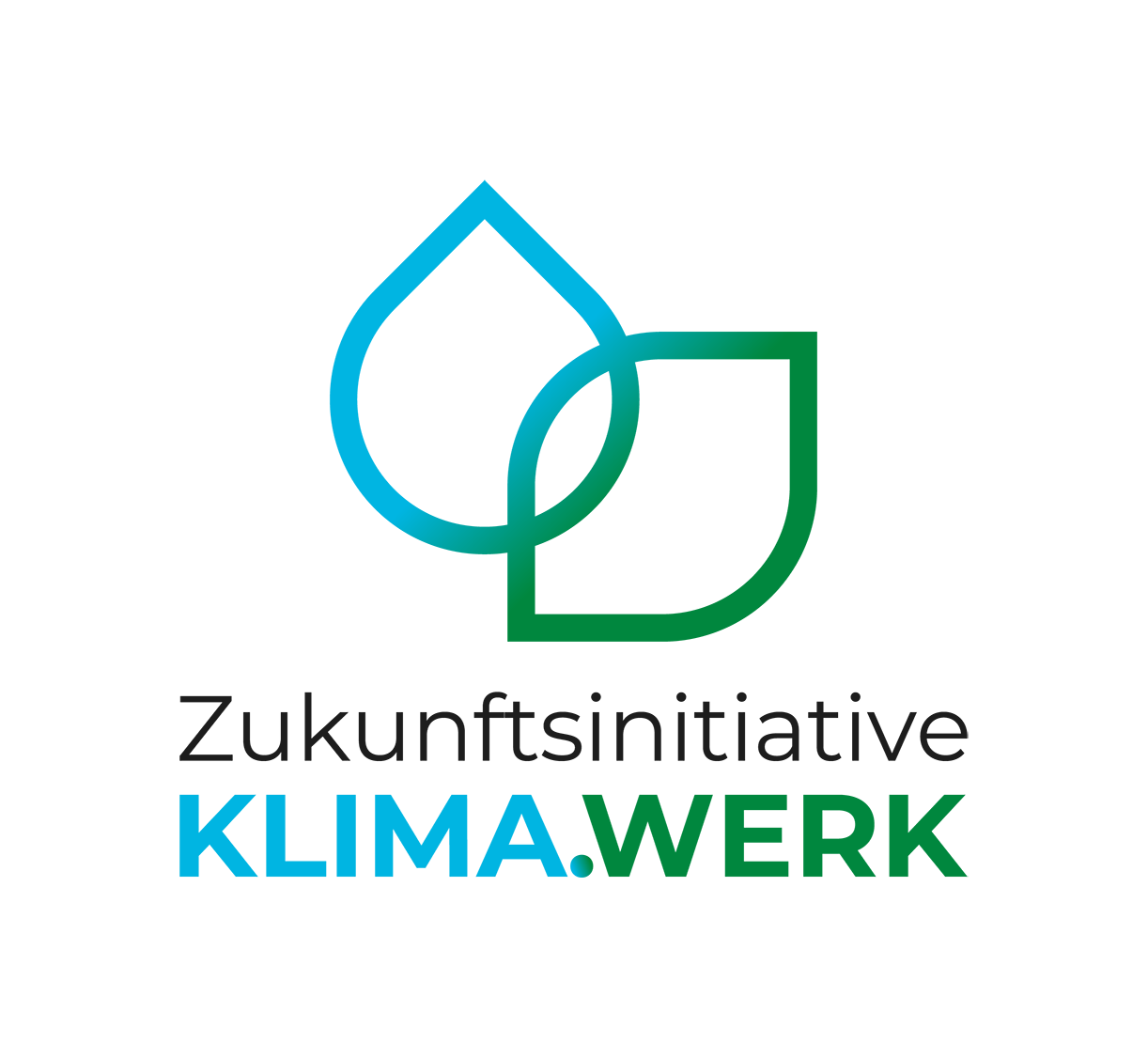 Logo der der Zukunftsinitiative, KRiS Förderung'